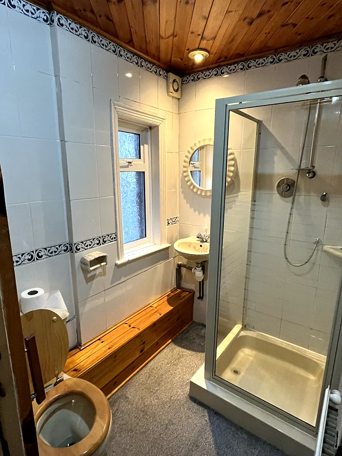 Norman Road bathroom to shower room before